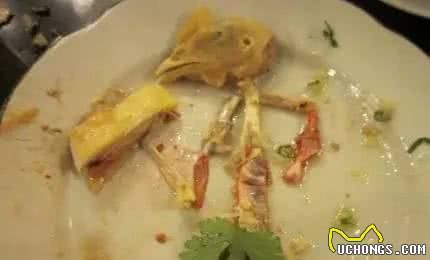 狗狗的16种食物禁忌