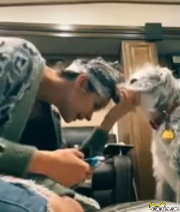 女子巧妙给狗狗剪指甲，狗狗还主动配合，网友纷纷效仿，都成功了