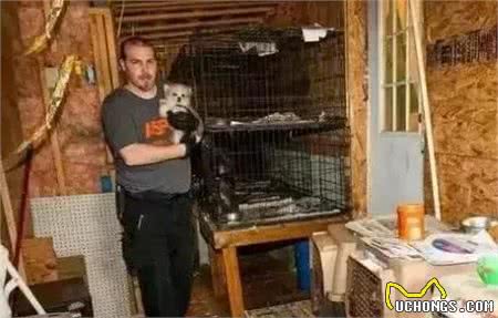 看看犬繁殖场的恐怖真面目，它们就是在这样的环境下生活的