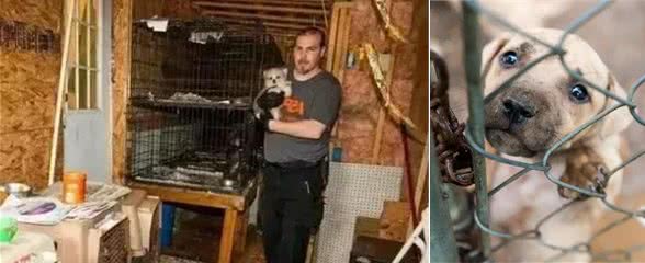 看看犬繁殖场的恐怖真面目，它们就是在这样的环境下生活的