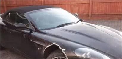 阿斯顿马丁遭狗啃咬,车主肉疼:这是失望的味道