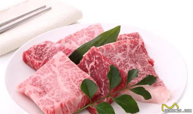 狗狗做完手术，主人不敢给吃肉类的发物，伤口没愈合还营养不良