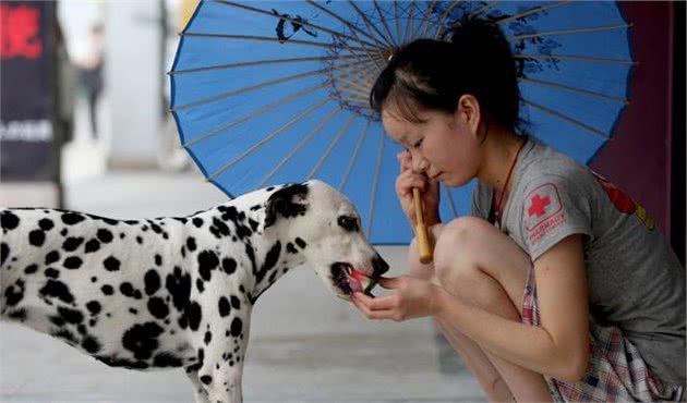 喂狗狗时，必须要注意这5点禁忌，别让善意变成恶意
