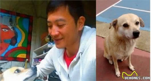 痛失10年陪同的爱犬走不出，爱犬安排接班狗延续它对主人的爱