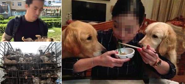 爱狗养狗！该怎么正确的爱狗，而不成为被人讨厌的爱狗