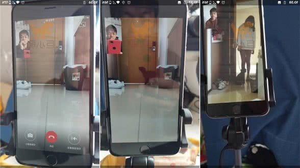 「巨小萌训犬」贵宾犬cookie分离烦躁远程训练案例