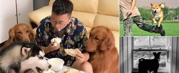 狗狗长寿秘诀:只要做好这7点,包它“长寿”