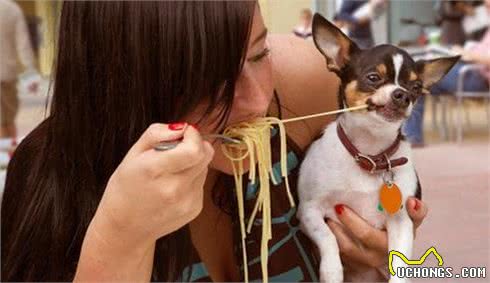 为什么喂了狗狗，它们却一直是饥饿的样子？主人需要给它喂食吗？