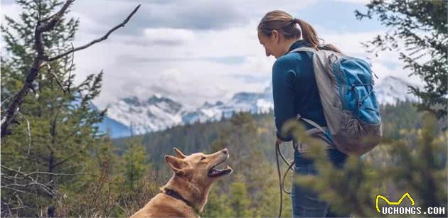 秋季带狗狗登山，想要狗狗高兴主人放心，最好注意这3个重要事项