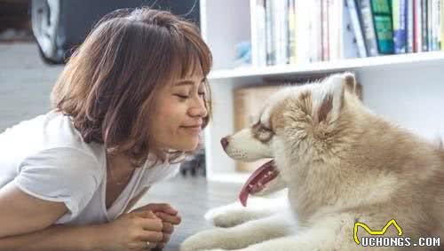 铲屎官不应过度溺爱狗狗把它当孩子养，会有损其身心健康！