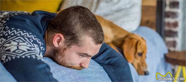 你们家狗狗会害怕男人吗?该如何让它们学会,如何应对陌生的男性