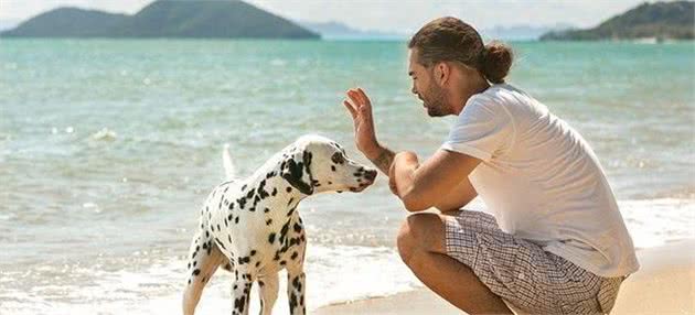 你们家狗狗会害怕男人吗?该如何让它们学会,如何应对陌生的男性