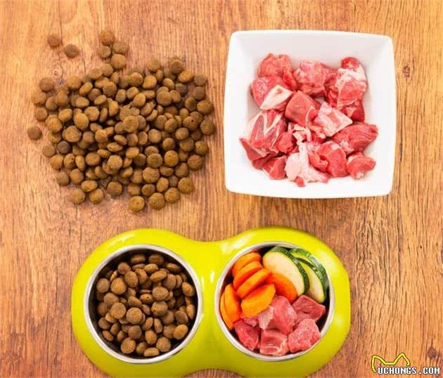 给狗吃犬粮到底好不好，这3个年龄段的人给出了不同的答案