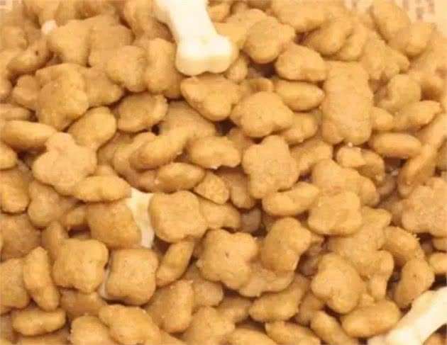 这几招让你从表面简单区分犬粮好坏