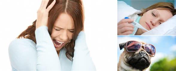 狂犬病有多大的危害，狂犬病毒就有多强，赶紧远离