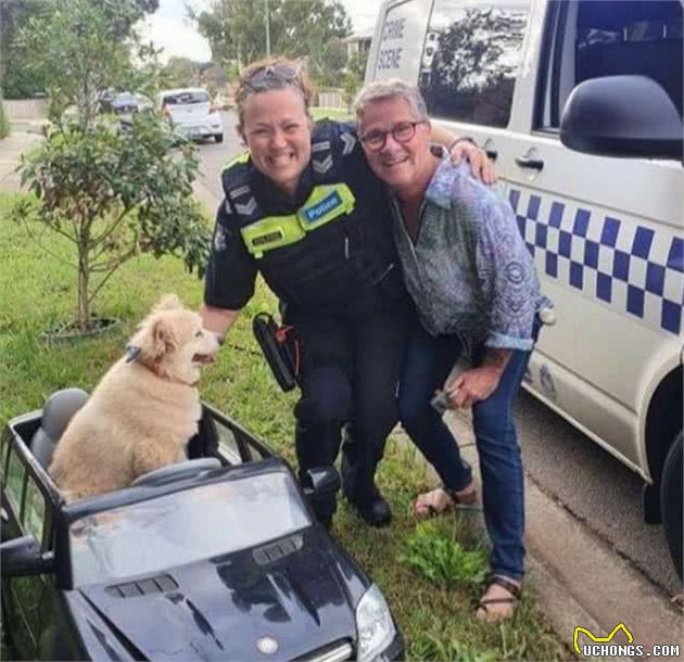 狗狗独自坐车被交警拦路，交警：你的车被扣留！狗狗：找我负责人