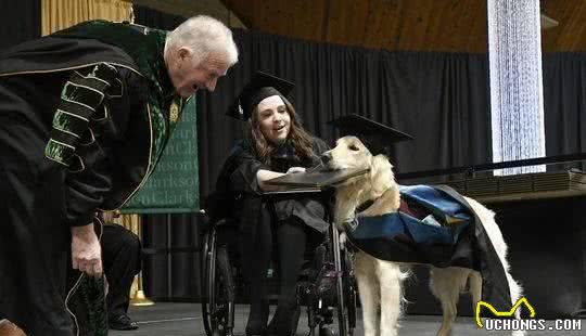 金毛犬陪同坐轮椅的主人完成硕士学业获校方颁布名誉学位