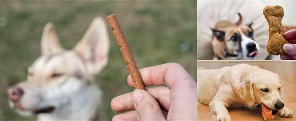 给狗狗买零食，淀粉类的少买！买训犬零食主人要注意这3点