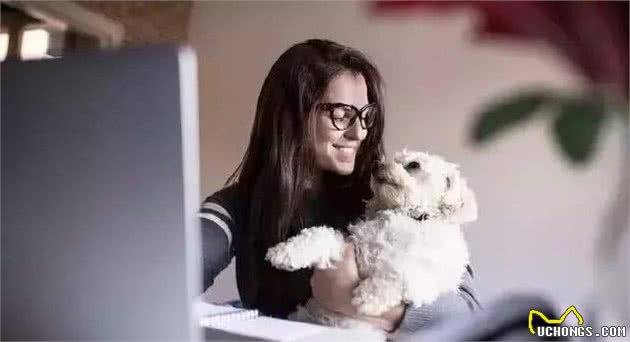 服务犬：已经豫备好并且愿意立刻执行一系列的责任