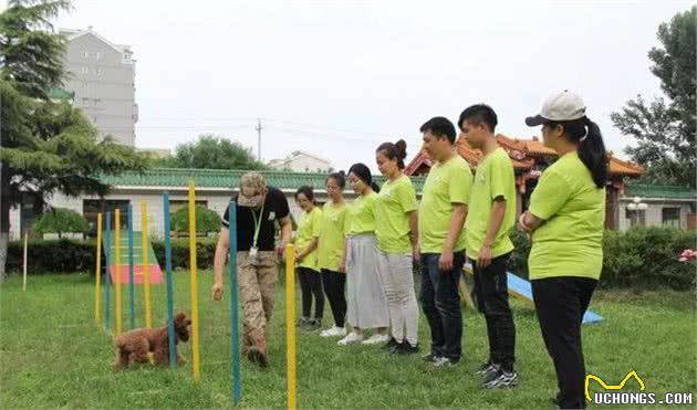 军犬是如何训练禁止和禁食?