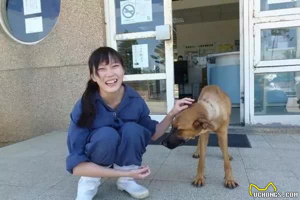 狗狗绝育的利与弊