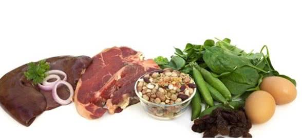 什么样的食物才是最合适宠物狗的呢?