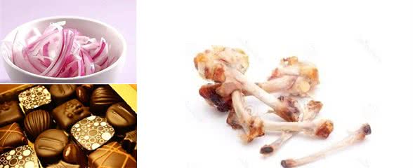 狗狗十大致命食物榜你家的狗狗常常吃吗
