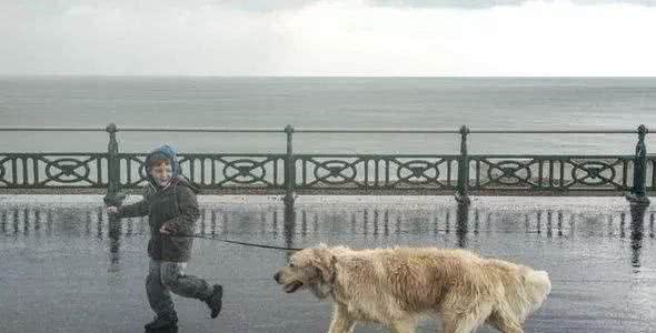 雨天带狗狗出门，要做好一定的豫备，减少狗狗生病的机会