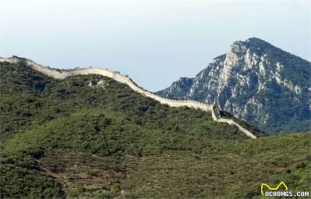 带着宠物去旅游，北京能够带狗狗玩的地方大集合！