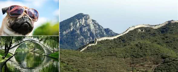 带着宠物去旅游，北京能够带狗狗玩的地方大集合！
