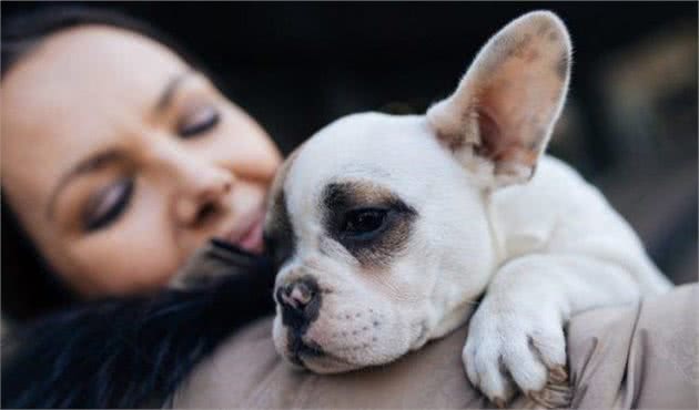 狗狗不听怎么办？了解狗狗的记忆模式，你也能够成为训犬专家