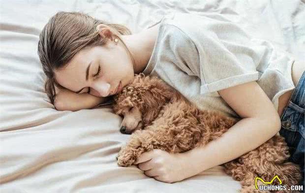 狗狗总喜欢到床上睡觉，背后有6大原因，你家狗子是哪一个？