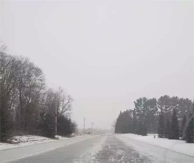 高龄老狗被困雪地里，两个星期后竟奇迹生还……