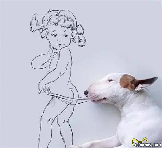 道格队长丨狗狗的训练科目19期丨怎么训练狗狗不随便捡食？