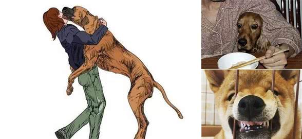 你家狗不良的行为的养成,你,“功不可没”