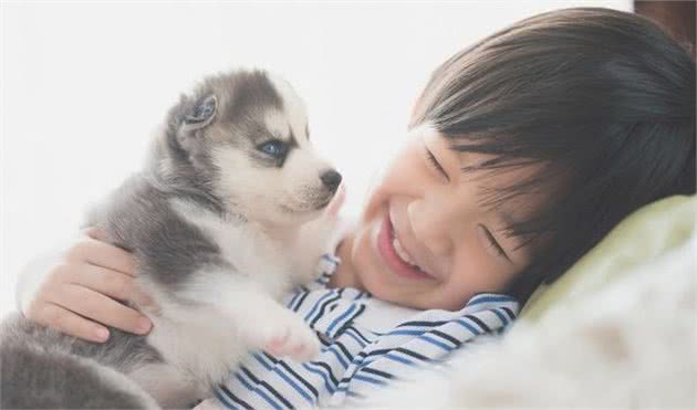 幼犬需要把握的基本技能有哪些，请参考这张幼训时间表