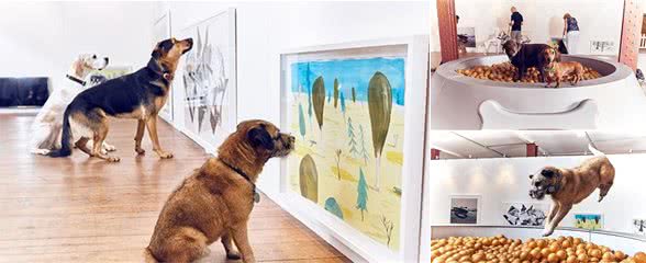 世界上第一个狗展艺术展