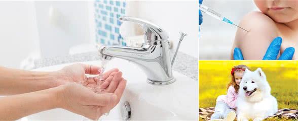 手被小狗抓破了要不要注射狂犬疫苗?需防患于未然