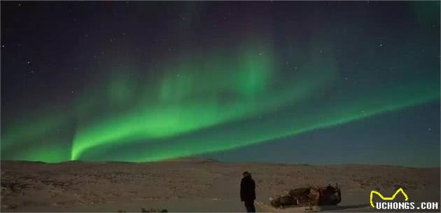 这是世界上最孤独、却最勇敢的雪橇犬!