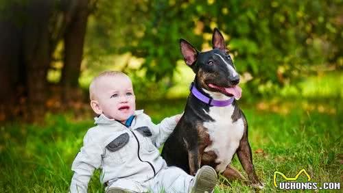 家里有老人和孩子，养什么狗狗比较合适，清点十种优秀的家庭犬种