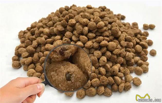 狗狗最怕什么样的“惩罚”？5个有效的法子，让你家狗子不再犯错