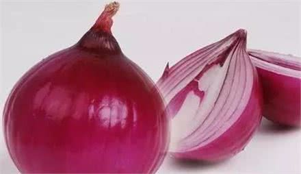 狗狗不能吃的食物,你都知道吗