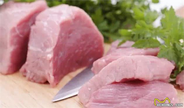 狗狗不能吃的食物,你都知道吗