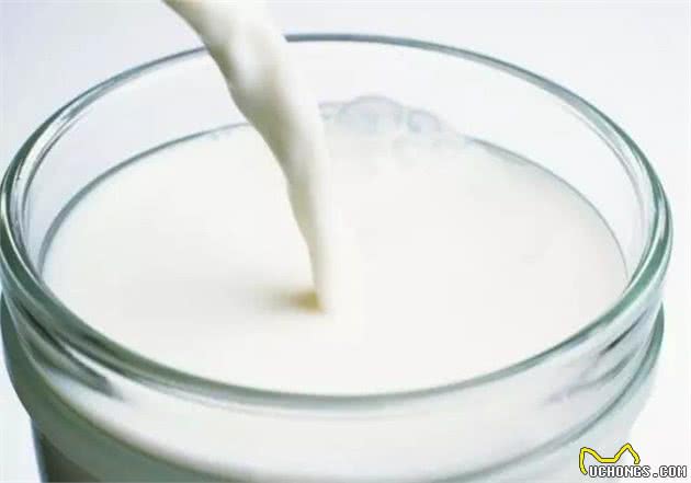 狗狗不能吃的食物,你都知道吗