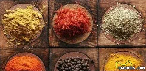 狗狗不能吃的食物,你都知道吗