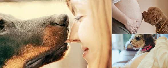 狗狗的八个难以想象的能力