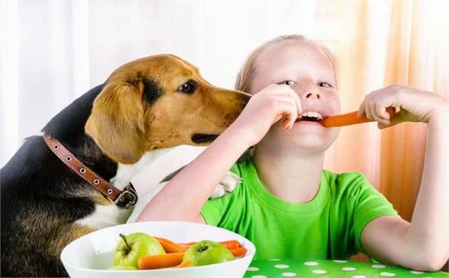 新手养犬知识，小狗有口臭怎么回事呀呀？