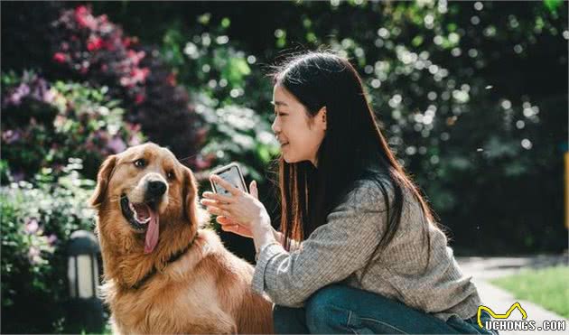 狗狗性格有哪些？如何培养汪星人的良好性格