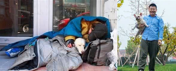 男主人和狗狗的关系有多铁？能坚决陪同在主人身边！