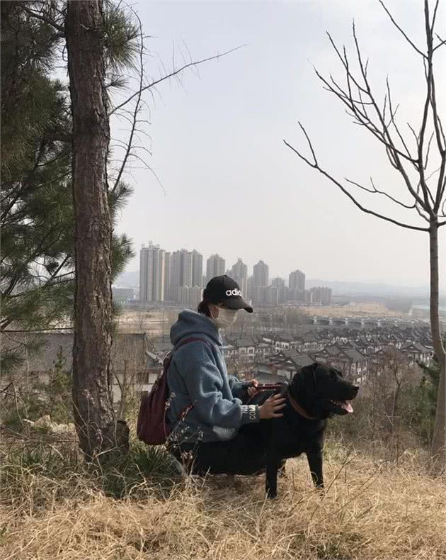 为什么喜欢带狗去登山，因为会让你高兴忘了疲惫